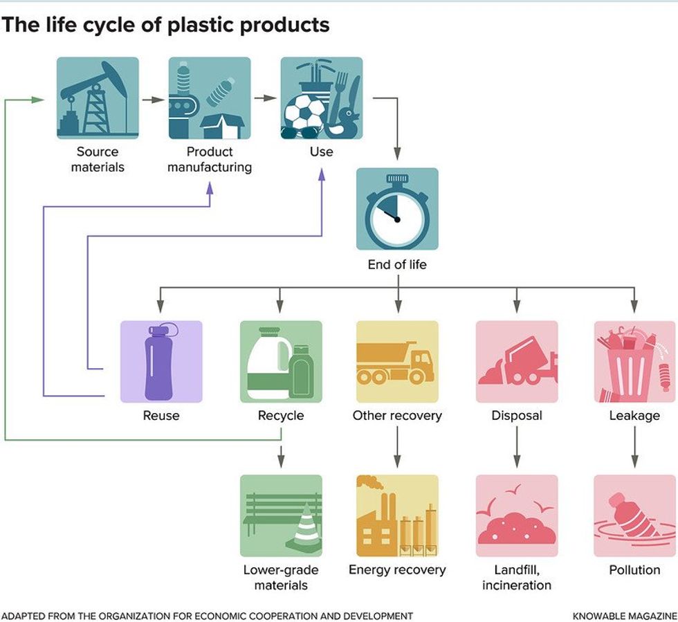 This AI program was trained to sort plastic recyclables