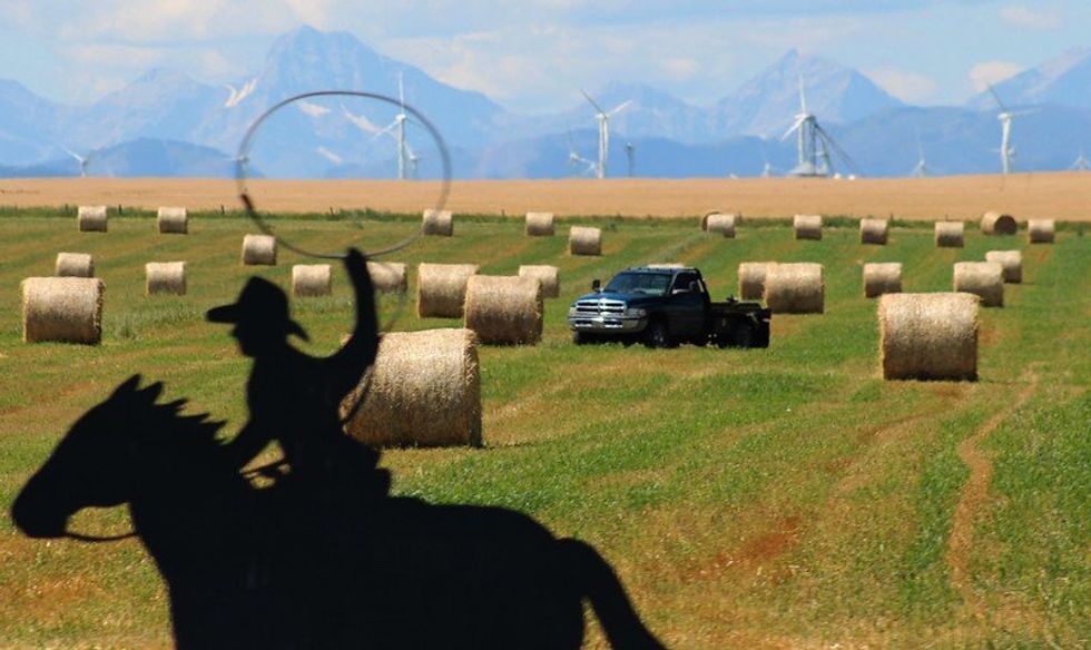 Once powered primarily by coal, Alberta now gets more electricity from renewables