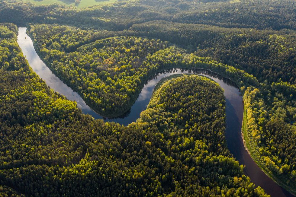 How indigenous lands in the Amazon help prevent deadly diseases