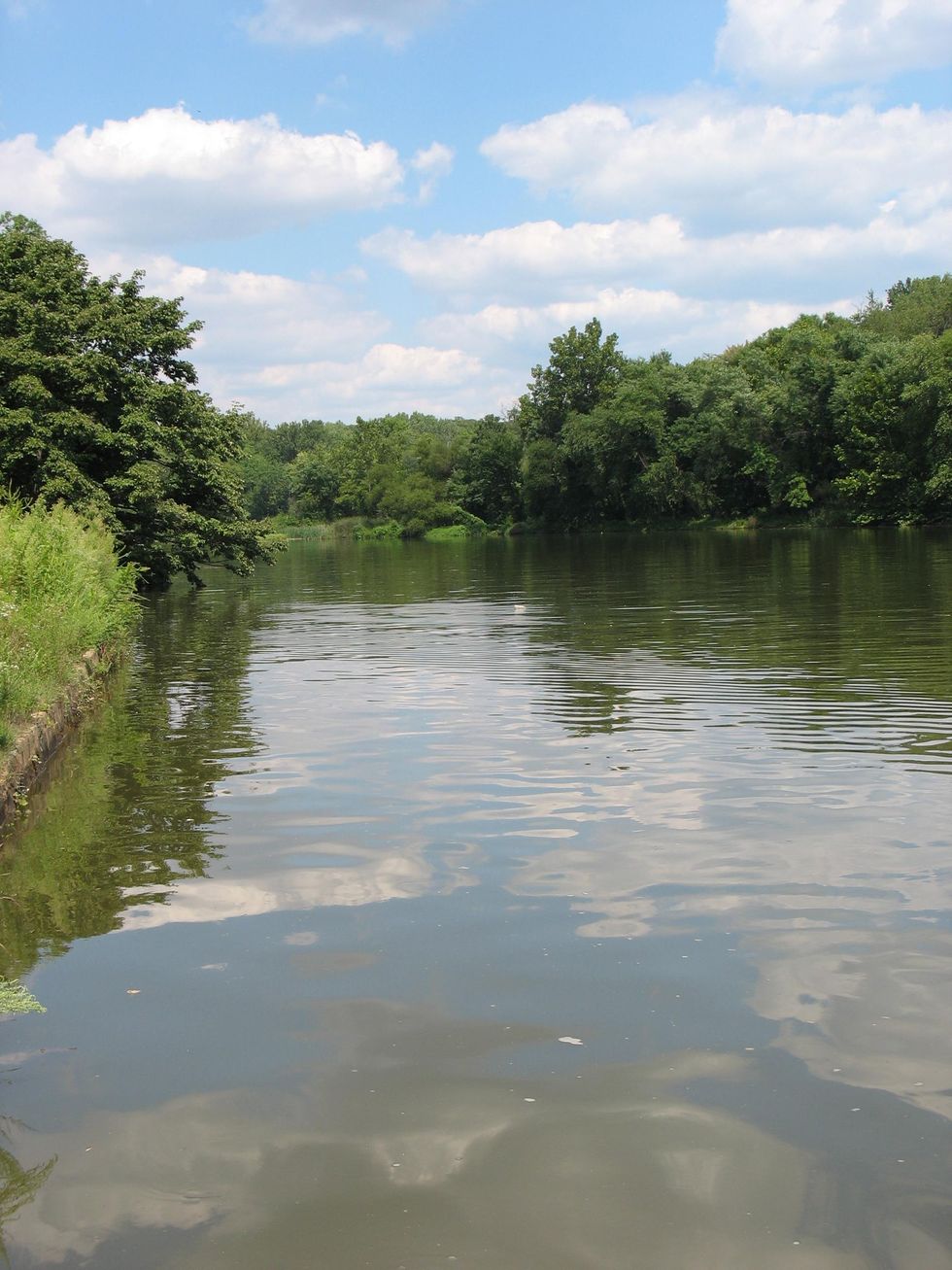 Community group helps prepare the Anacostia River for climate change