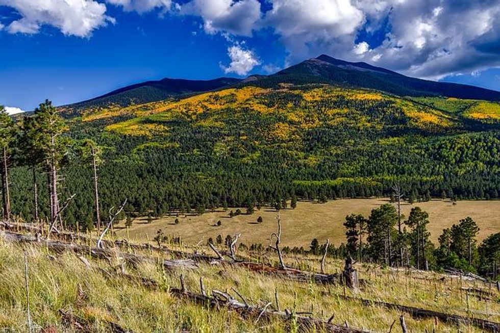 Climate change, drought mute Arizona's fall colors