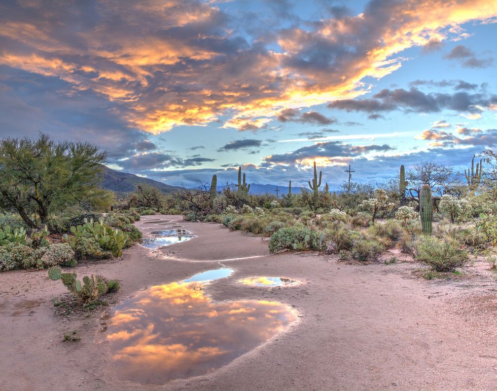 How Arizona stands between tribes and their water