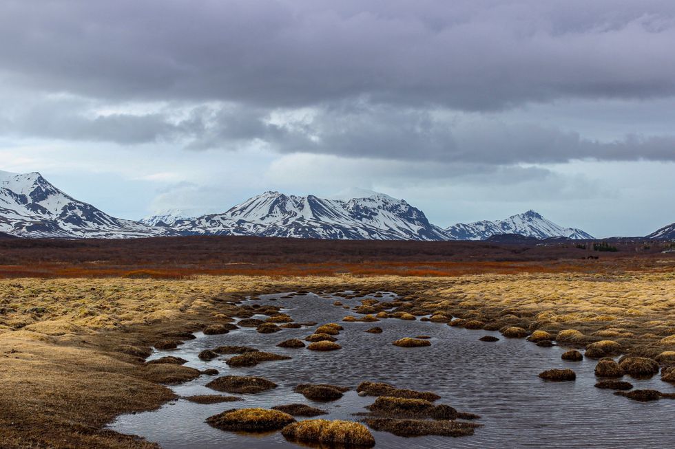 With Arctic permafrost thawing, Pentagon frets over deadly pathogens