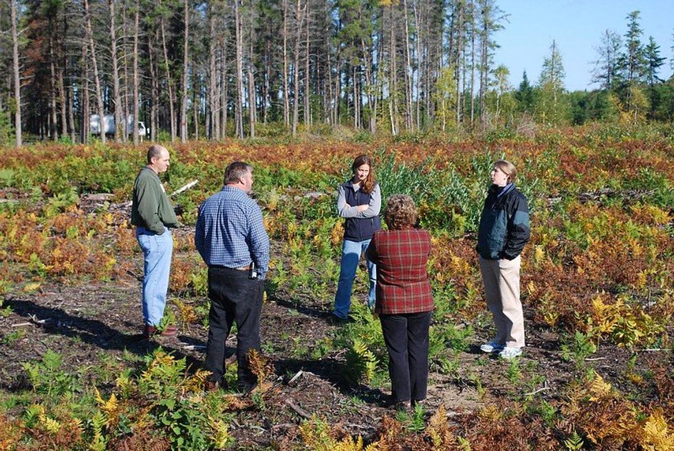 Canada, home to a massive boreal forest, lobbied to limit U.S., EU anti-deforestation bills