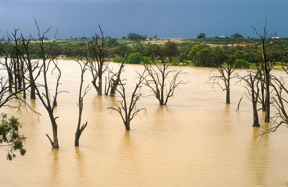 After a year of rain, towns at the end of Australia’s giant river system await the slow, inevitable deluge