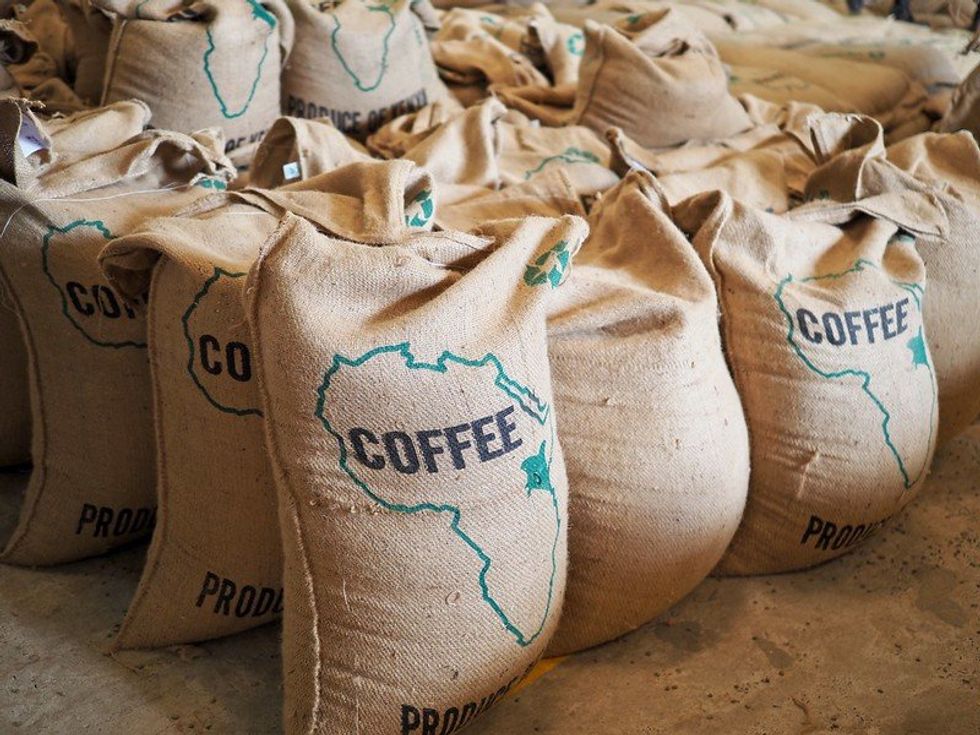 A global push to develop climate-resistant coffee