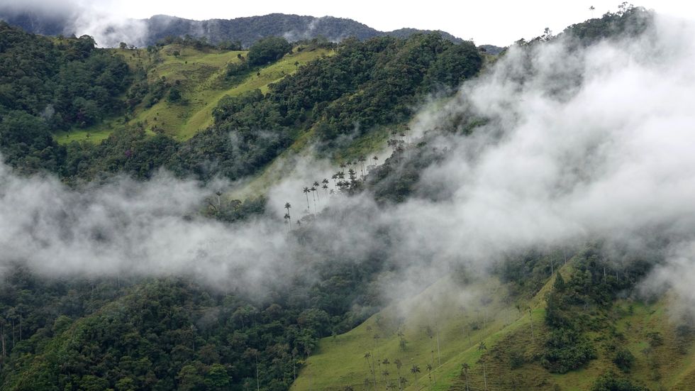 A powerful U.S. political family is behind a copper mine in the Colombian rainforest