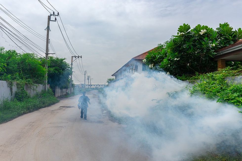 Peru battles worst dengue outbreak as climate warms