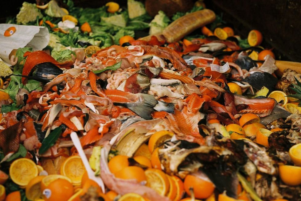 Bills aim to reduce food waste through labeling and composting