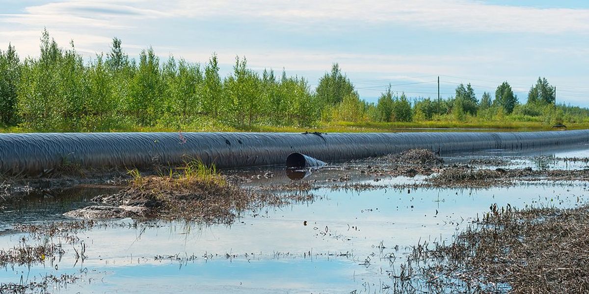 Neglected oil spills in Canadian little-known Canadian oilpatch go unpunished for years