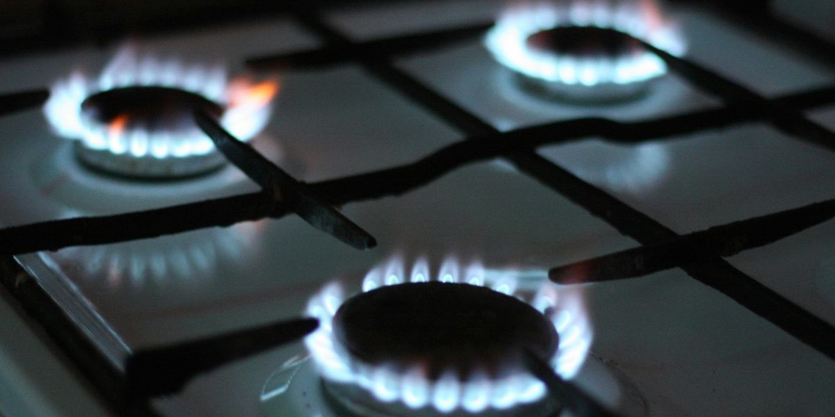 States seek to add health warning labels to gas stoves