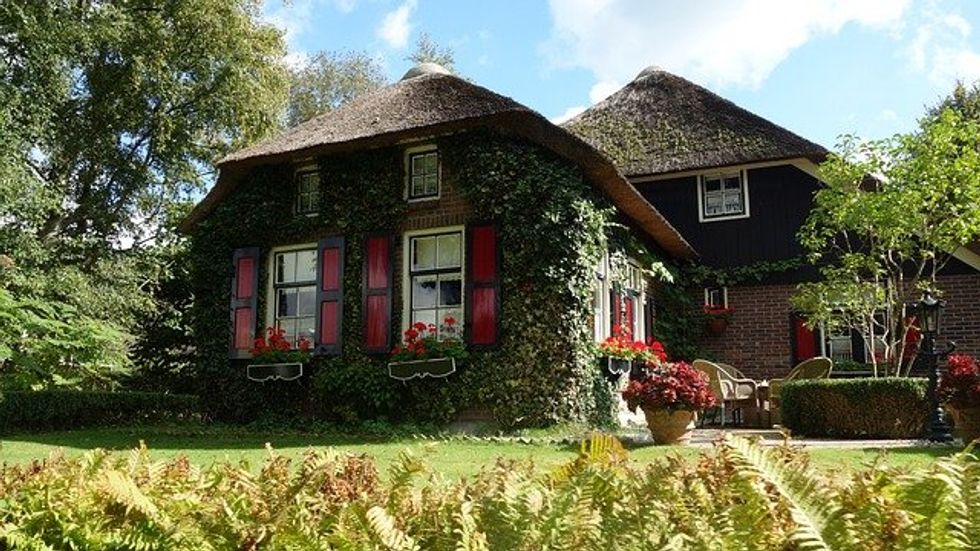 Amsterdam's 'smart' blue-green roofs reduce urban flooding