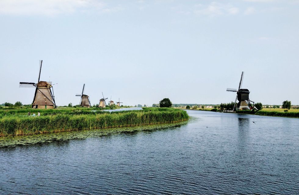 The Dutch solution to business that captivated the world