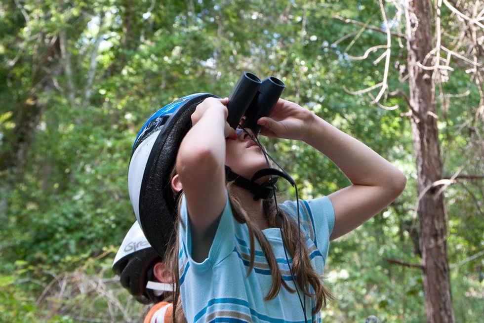 Building a Maryland wildlife corridor by the yard