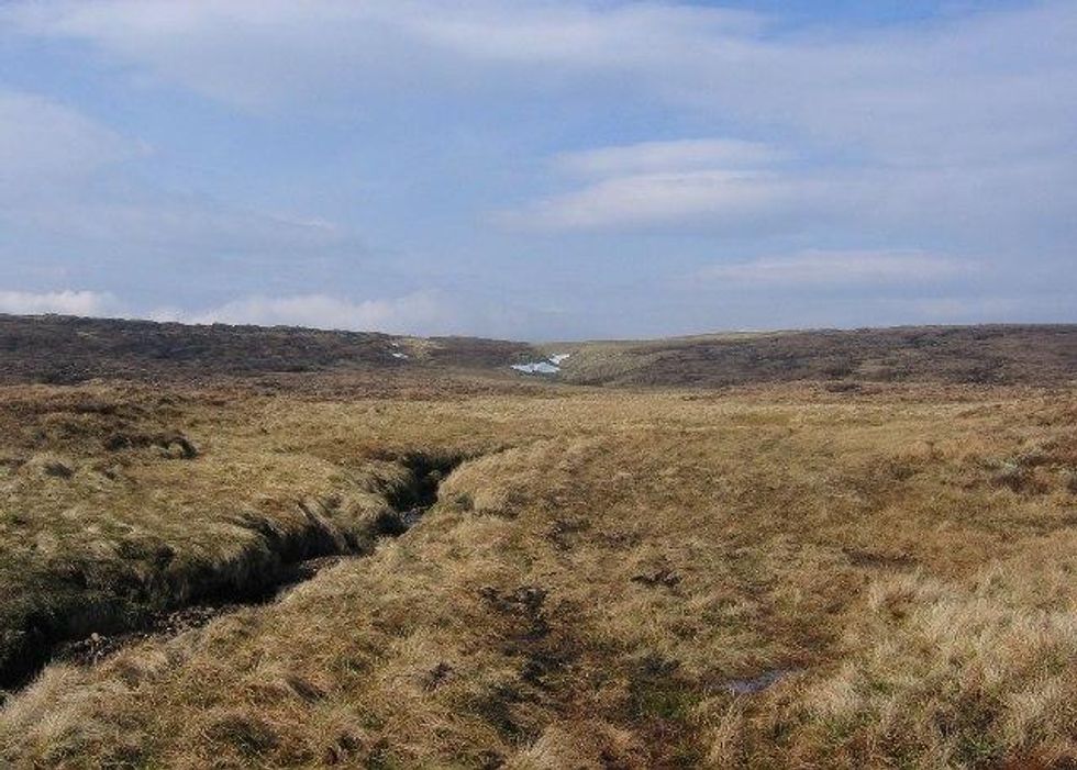 Investigation into protected peat burning ‘leads to just one formal warning’