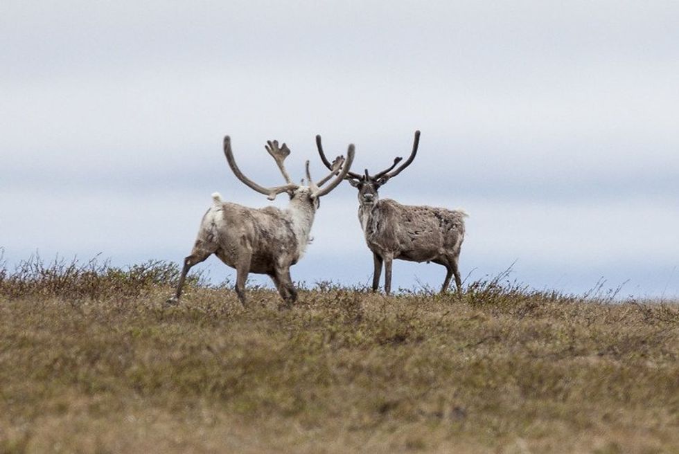 Major oil project approval intensifies Alaska Natives' rift