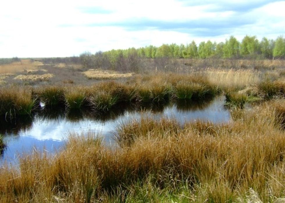 How art inspired by peatlands can help us confront the climate crisis