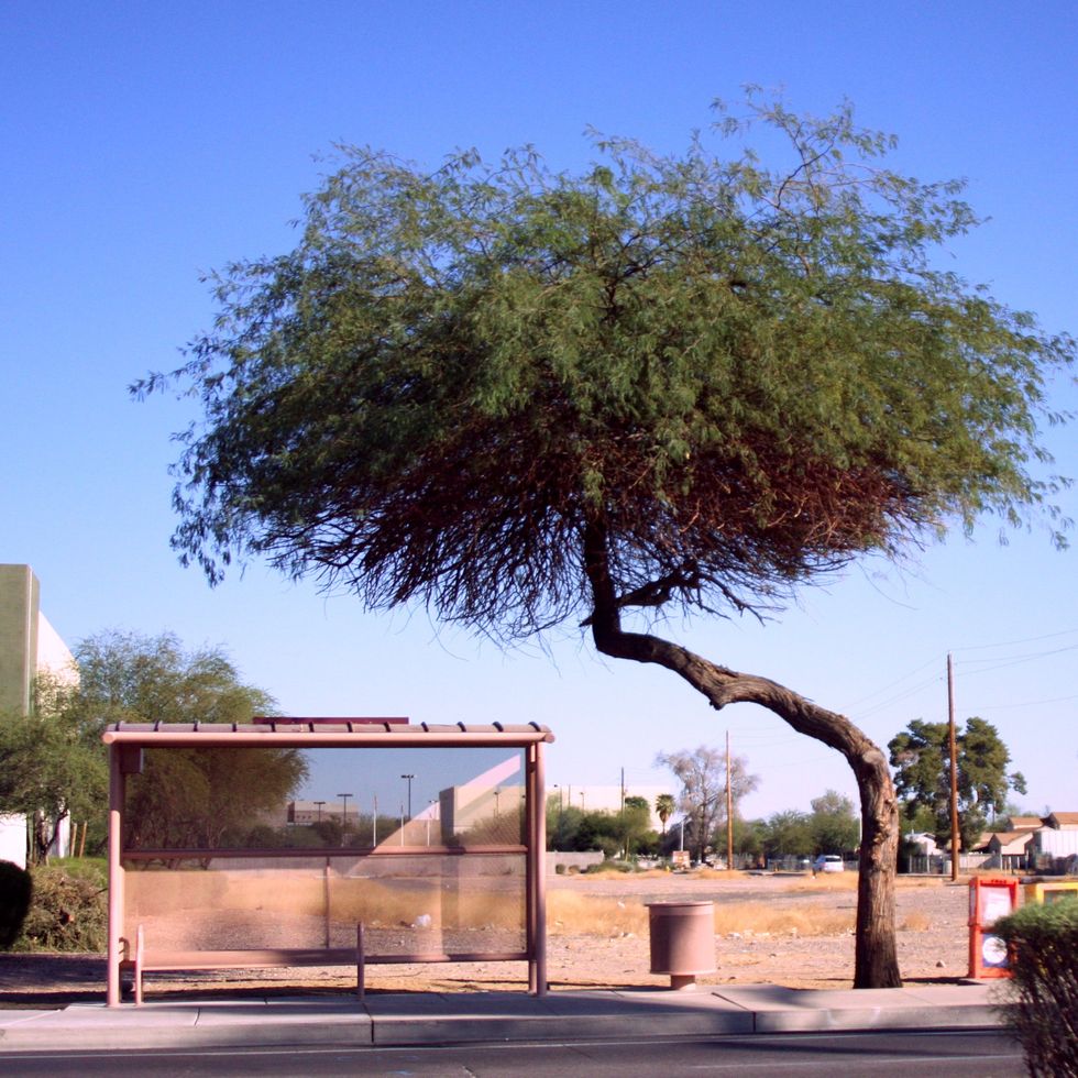 Simple solutions could reduce heat inequities in Phoenix