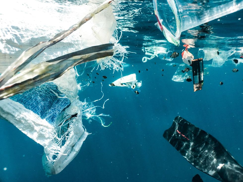 How to rid the world of plastic waste