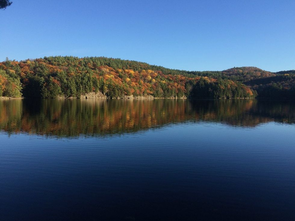 In search of ‘balance’: Conservationists wade into an age-old debate as they seek more protection for forests