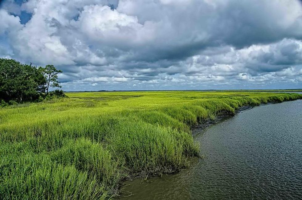 Rethinking the resilience of salt marshes