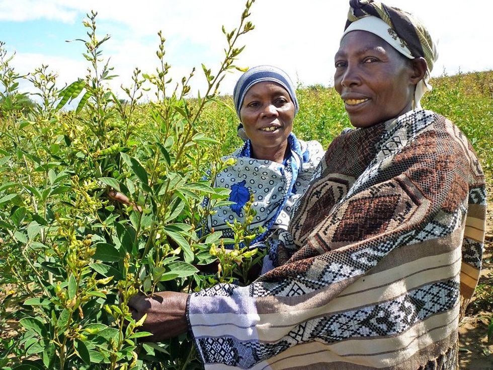 'The wisdom is in the soil, and the soil is becoming depleted'