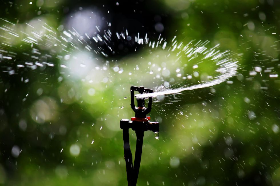 Water restrictions lifted in Southern California amid rainy winter