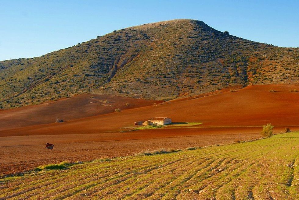 Battling desertification: Bringing soil back to life in semiarid Spain