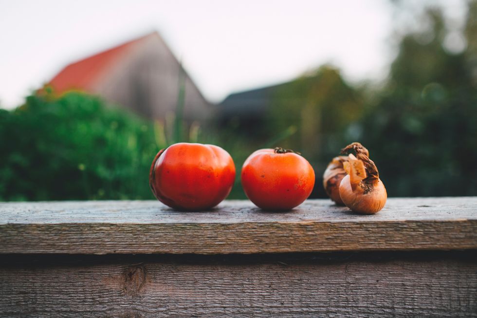 What crops will we be growing in the future, as climate change alters the landscape?